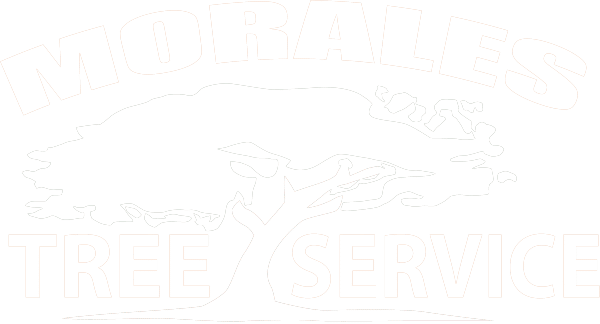 morales tree service logo white